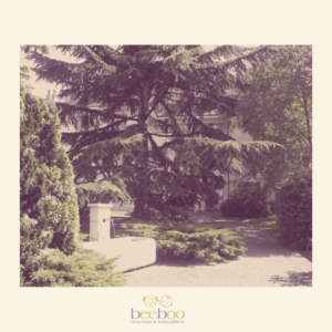 Parc de la mairie de Carouge avec des arbres verts et des allées pavées. Les nounous et babysitters BeeBoo recommandent ce parc.